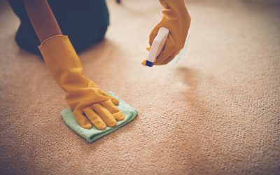 Jak dbać o dywany w domu i czym czyścić?